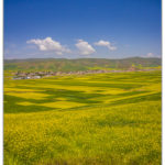 qing-gan-234