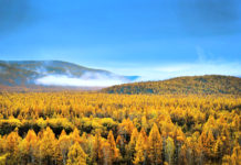 ต้าซิ่งอันหลิง (大兴安岭) – มณฑลเฮยหลงเจียง ต้าซิ่งอันหลิง, พื้นที่ต้าซิ่งอันหลิง, 大兴安岭区, มณฑลเฮยหลงเจียง,黑龙江省, ท่องเที่ยวจีน, สถานที่ท่องเที่ยวในประเทศจีน, หมู่บ้านเป่ยจี๋ชุน