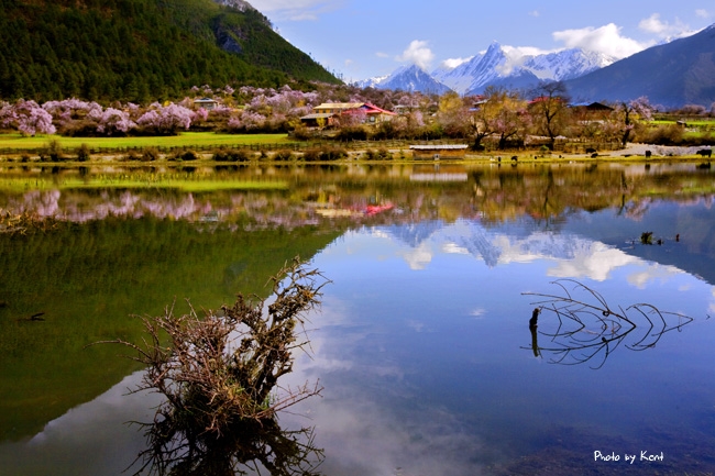 ทริปท่องเที่ยวจีน ทิเบต พระราชวังโปตาลา ทะเลสาบนัมโซะ เอเวอร์เรส เทศกาลดอกท้อ หลินจือ