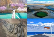 ทริป:ซินเจียงใต้(เทศกาลดอกเอพริคอต และ ที่ราบสูงปามีร์) ซินเจียงใต้ ดอกแอพริคอต ที่ราบสูงปามีร์